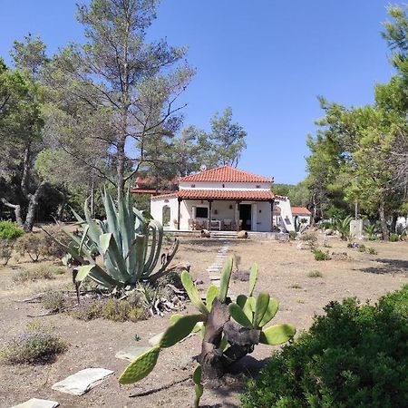 Vintage Beach House Agia Anna  Exterior foto