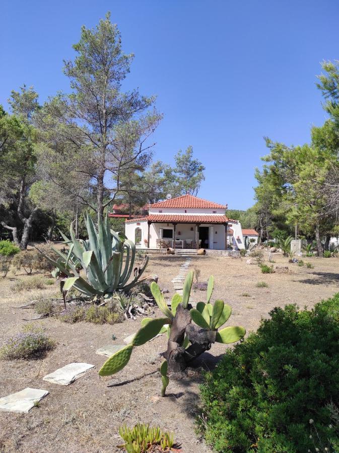 Vintage Beach House Agia Anna  Exterior foto