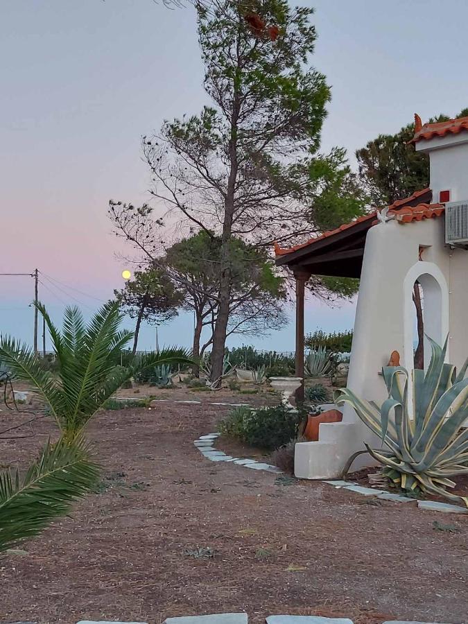 Vintage Beach House Agia Anna  Exterior foto